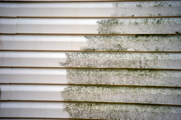 Best Furniture Removal  in Cape Canaveral, FL